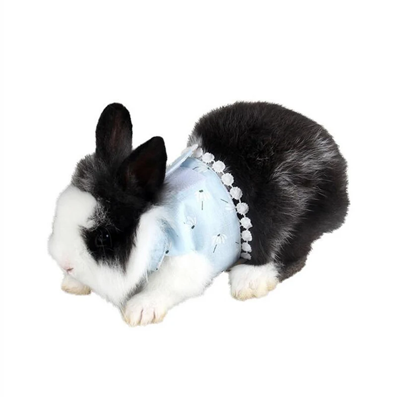 Маленький питомец двуногий нагрудный ремень Открытый Тяговый канат поводок