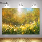 Одуванчик картина маслом фон осень Природный Пейзаж солнечный свет день рождения Портрет фон фотография Фотостудия фотосессия