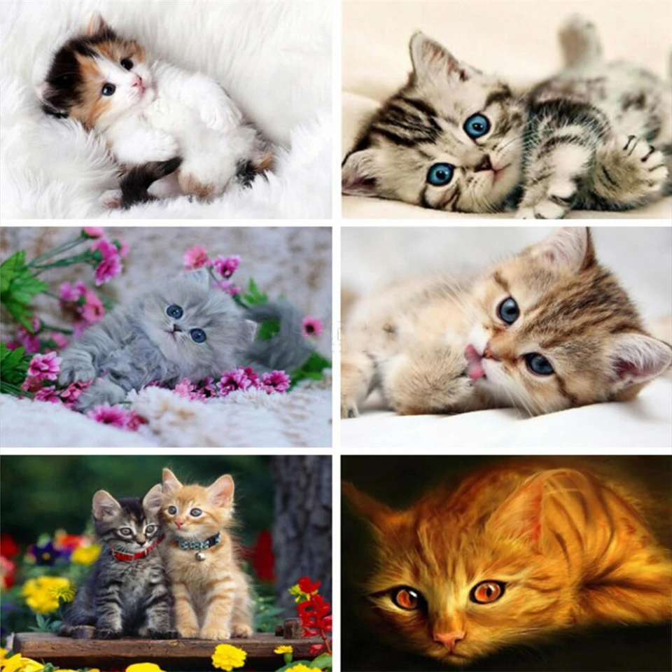 

Yujohom DIY алмазная живопись кот Вышивка крестиком Алмазная вышивка животные распродажа Стразы Искусство стены декор стен