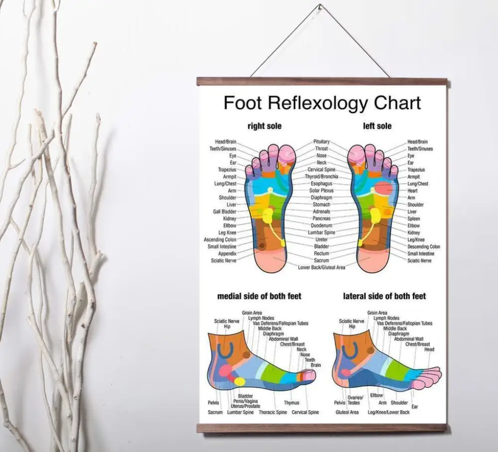 

Foot Reflexology Chart Art Canvas poster decoration painting with solid wood hanging scroll