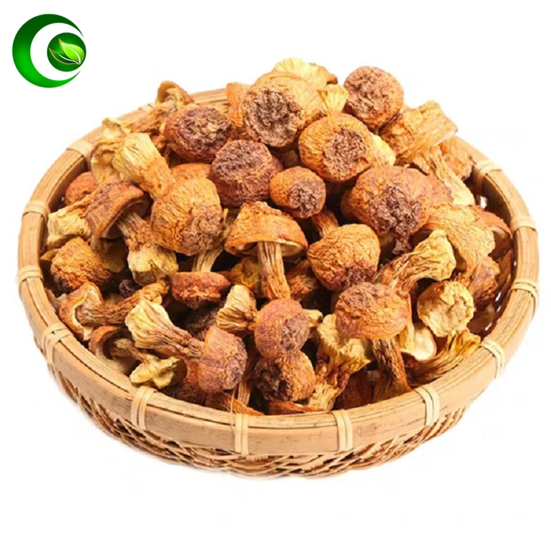 

Agaricus Blazei,Agaricus Blazei Mushrooms,Agaricus Subrufescens,Agaricus Blazei Murrill,Agaricus Blazei,JiSongrong,Himematsutake