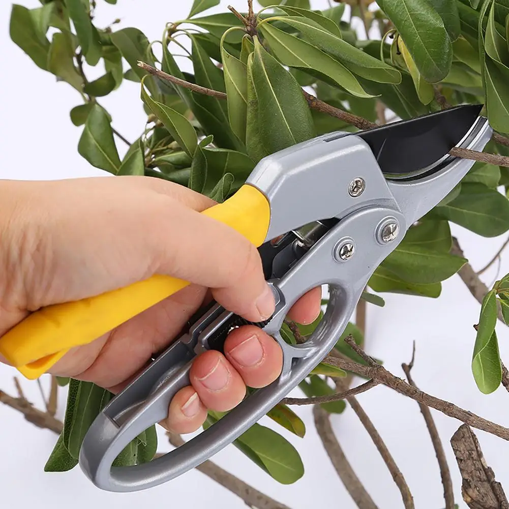 

Labor Saving Garden Pruning Shears Cutter High Carbon Steel Gardening Plant Scissor Branch Pruner Trimmer Tools Wholesale
