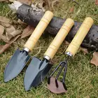 Мини-садовые инструменты с деревянной ручкой, 3 предмета, лопатка, грабли, растения, бонсай, набор инструментов для цветов, суккулентов, пересадки