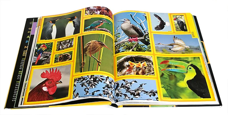 

Original English Books National Geographic Animal Encyclopedia Hardcover Full Color STEAM