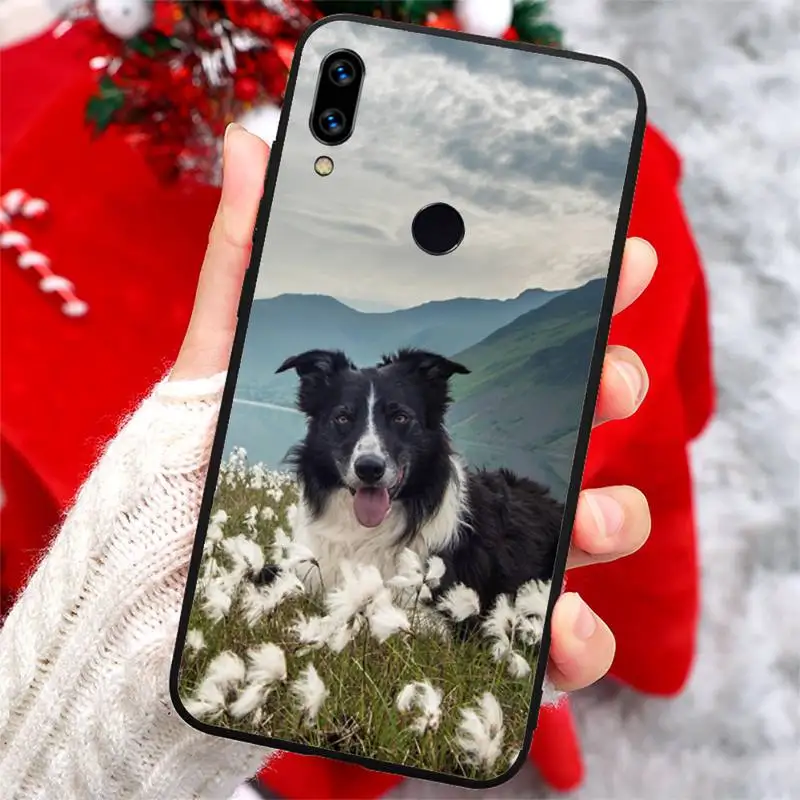 

Border Collie Dog Breed Phone Cases For Xiaomi Redmi note 7 8 9 t k30 max3 9 s 10 pro lite