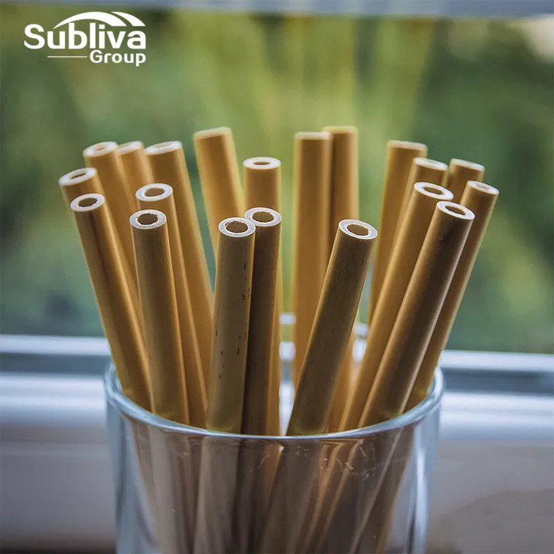 

10Pcs/Set Bamboo Reusable Straw 20cm Organic Bamboo Drinking Straws Natural Wood Straws For Party Birthday Wedding Bar Tool