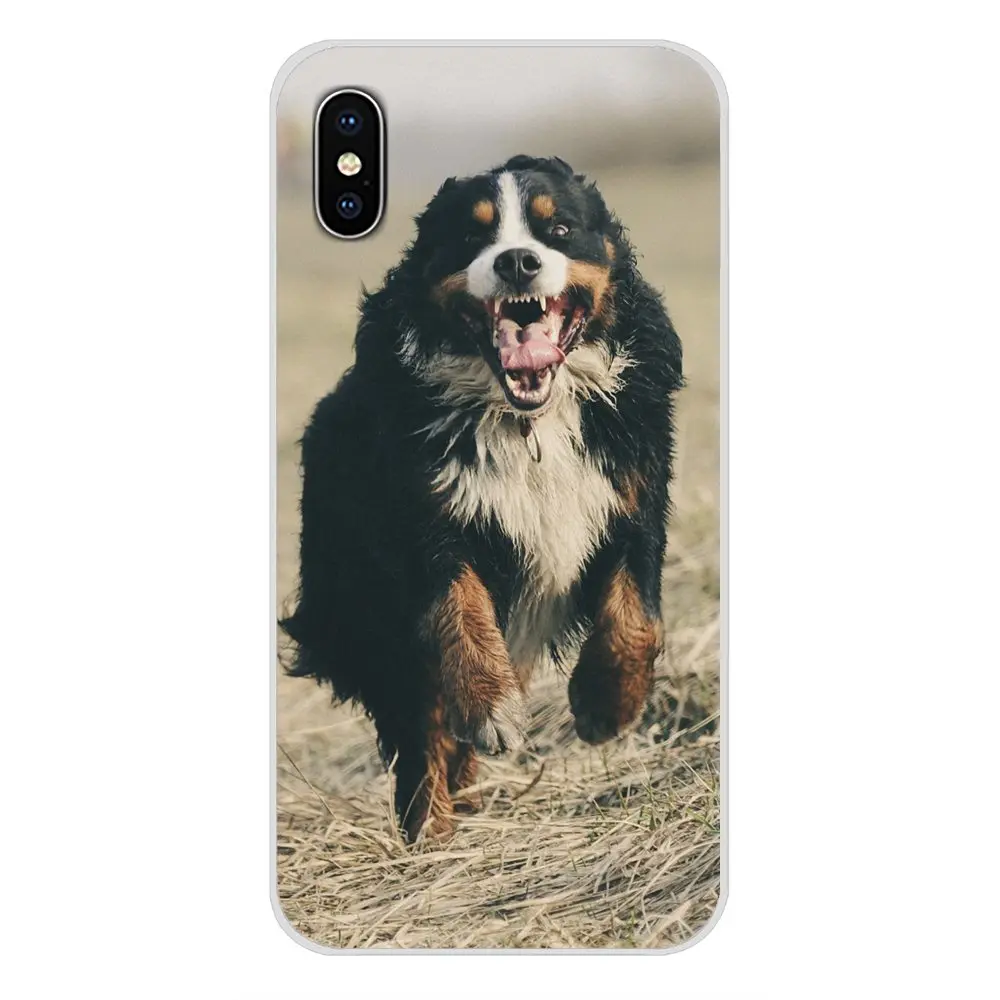 For Samsung Galaxy J1 J2 J3 J4 J5 J6 J7 J8 Plus 2018 Prime 2015 2016 2017 Accessories Phone Cases Covers Bernese Mountain Dog | Мобильные
