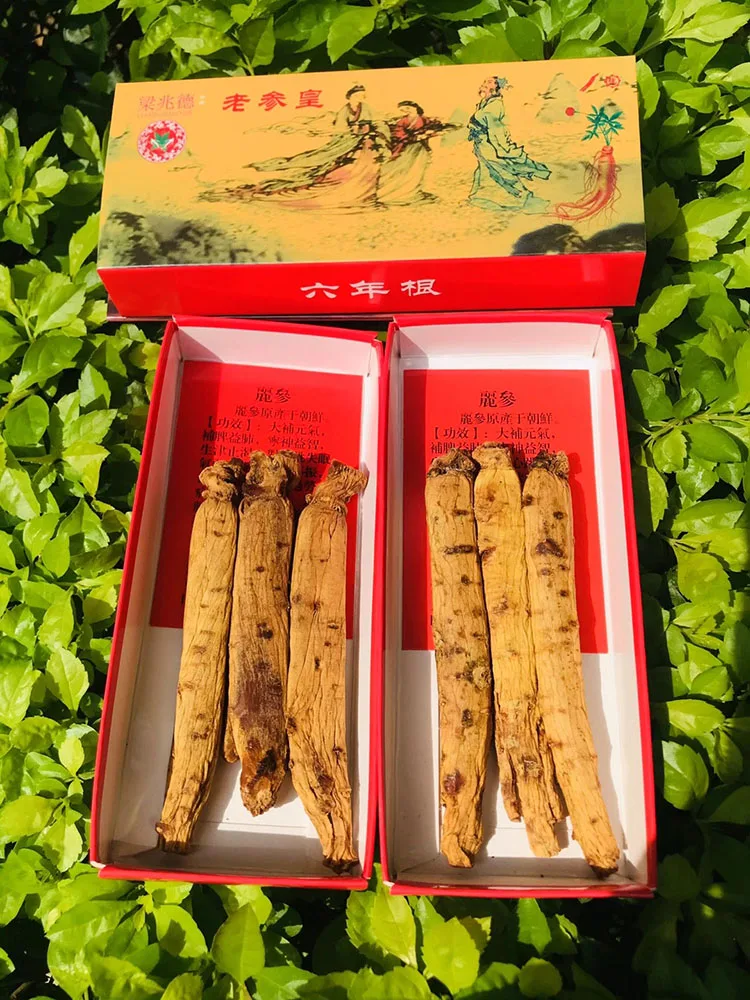 

Free shipping and high quality Ginseng improves immunity