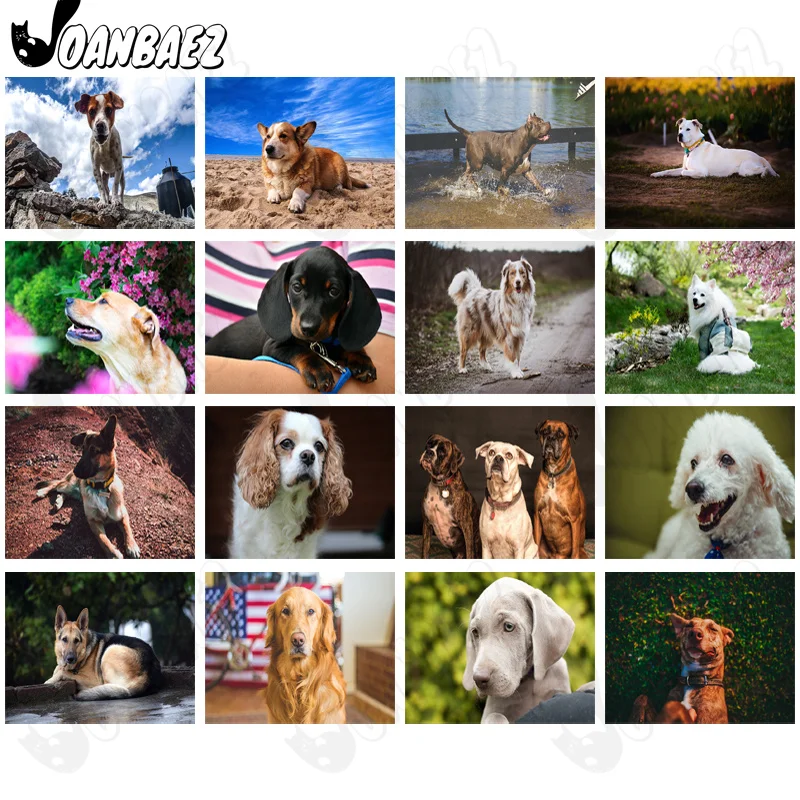 

Modern Cheerful Dog Diamond Painting 5D Diy Wall Art Cute Pet Round Diamond Inlaid Home Room Decoration Accessories