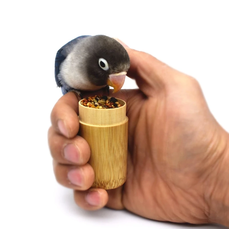 

Bird Training Food Jar Parrot Hand-held Feeder IQ Growth Training Tools Bird Interactive Educational Toys Bird Tabletop for