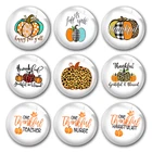 Ручная работа на День Благодарения Тыква Леопард клетчатые круглые фото стеклянные кабошоны демонстрация с плоской спинкой DIY Изготовление ювелирных изделий