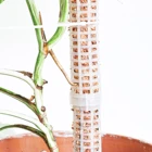 Палочки из АБС-пластика для выращивания растений, палочки из сфагнума для сохранения воды и удобрений, богатая Кокосовая пальма