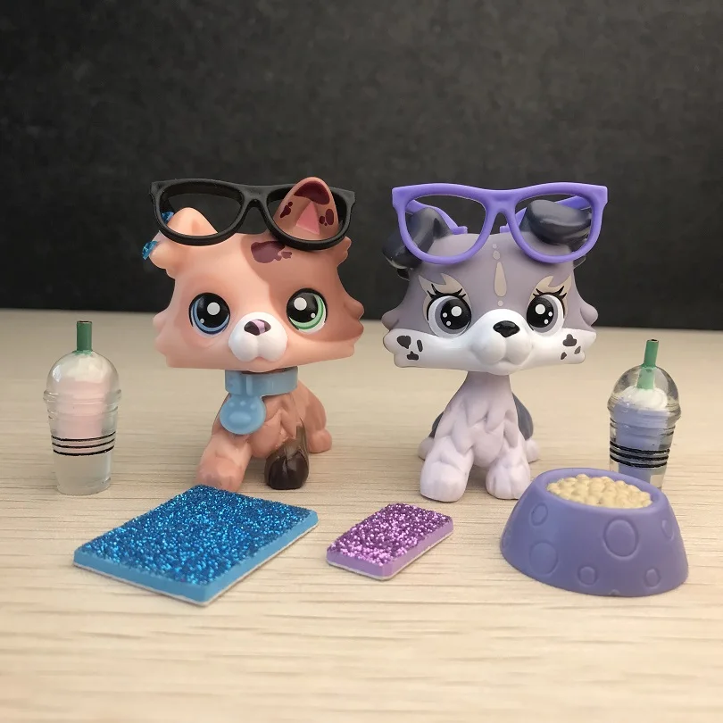 Pet Shop Маленькая фотосессия с зелеными синими глазами аксессуарами 9cs|Игровые
