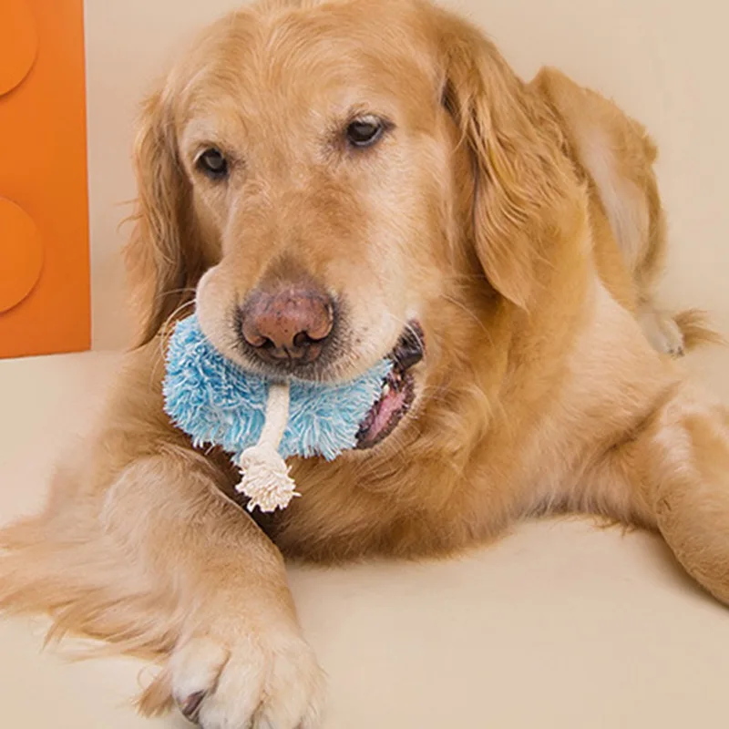 

Pet Dog Cotton Plush Toys Interactive Squeaky Toy Dog Molar Chewing Toys Teeth Clean Large Small Dogs Funny Durable Pet Supplies