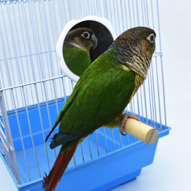 Треугольный куриный Окунь попугай матовая настольная деревянная игрушка для кур