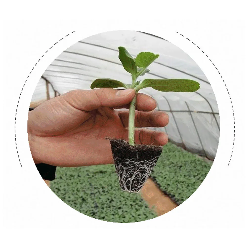 Behogar 4 шт. 50 отверстие Пластик клетки рассада стартер лотки завод цветочные горшки