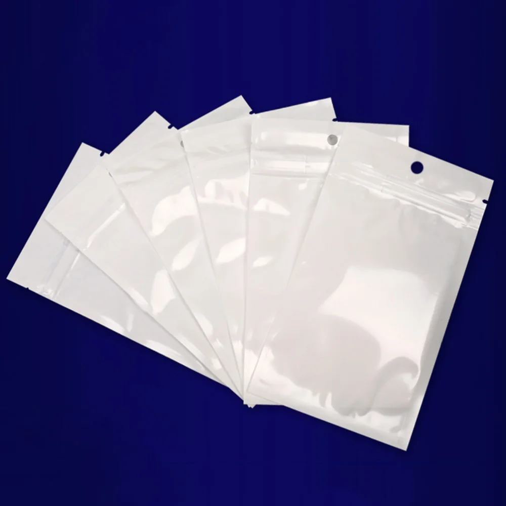 

100pcs Reclosable Sealing Bags with Hanging Hole Jewelry Storage Pouch Packaging Bag (20x30cm)