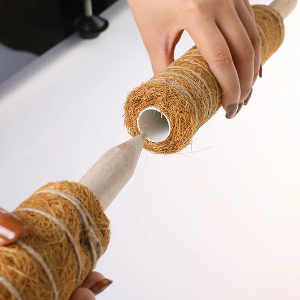 

Полезные палочки для кокосовой пальмы, полезные растения в горшках