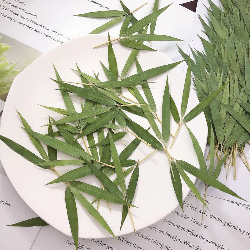 Бамбуковый лист Настоящий образец растения Обучение Сделай сам Свеча Ручное падение клея Мобильный телефон Чехол Фоторамка Закладка.