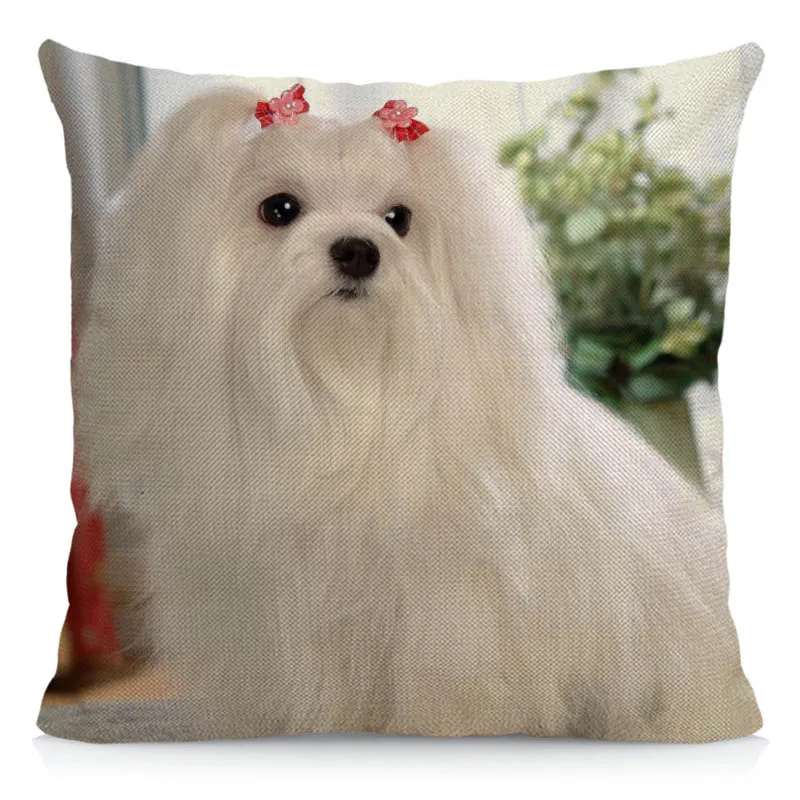 Cushion Cover 45x45cm Maltese Pillow Case Dog Pattern Decorative Pillows Sofa Car Chair Decor DWG047 |