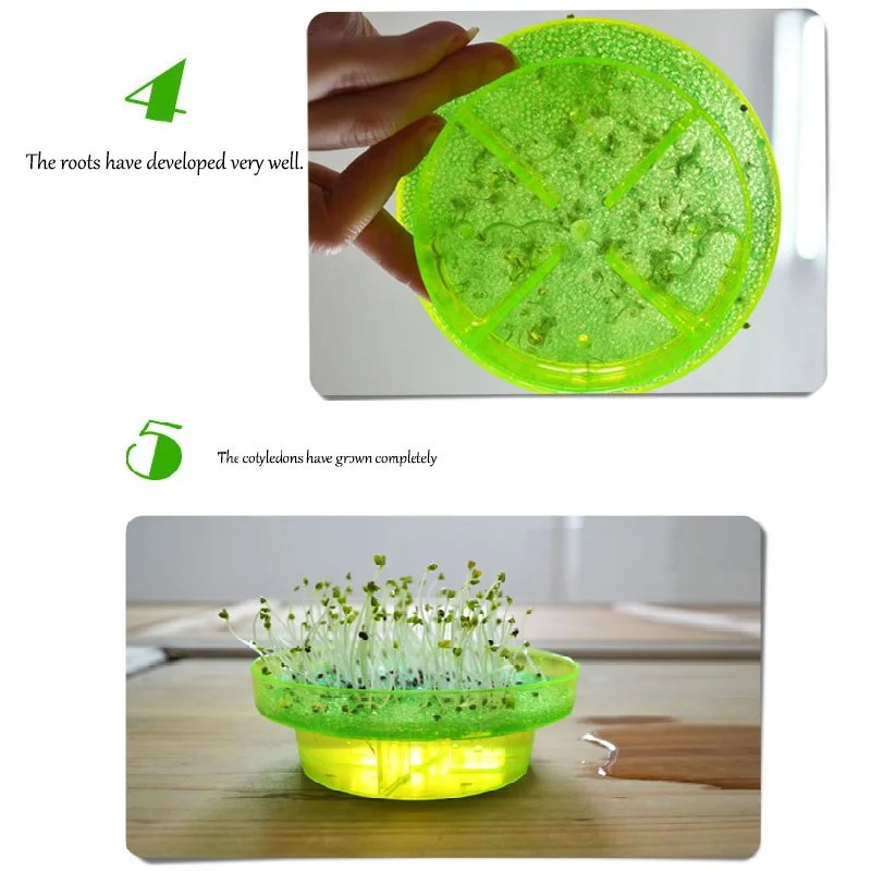 Набор для самостоятельной сборки семян Петри STEM Science Technology игрушка растение