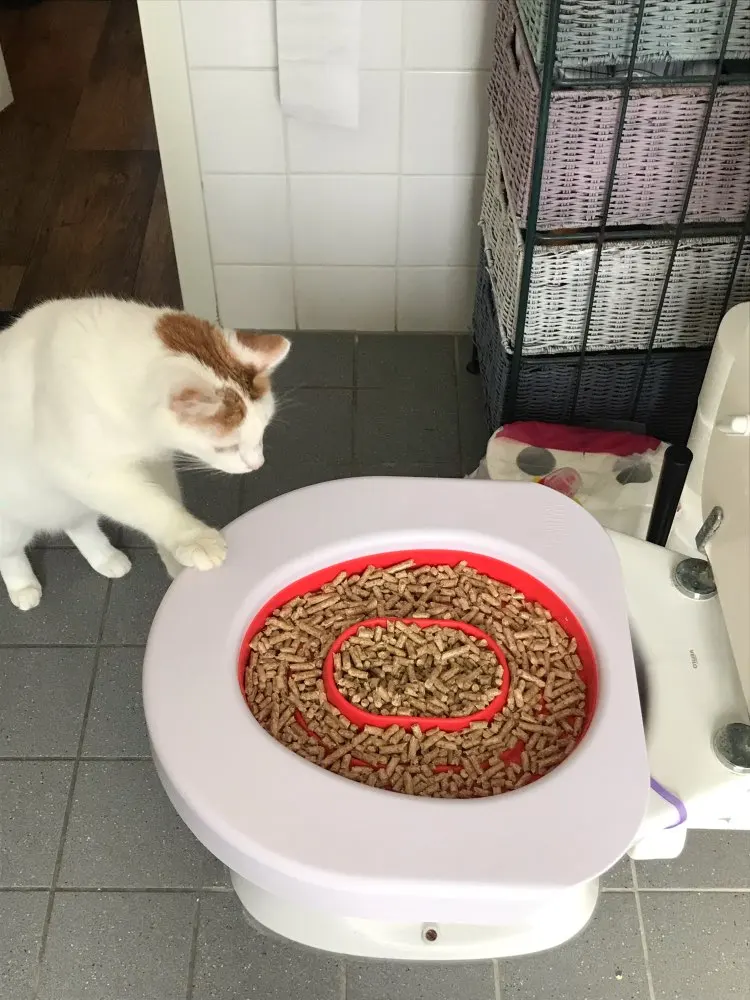 Профессиональная кошка обучение сиденье для унитаза Pet Box Kit поезд любовь чистые кошки использовать унитаз для людей легко узнать туалет коробка подарок