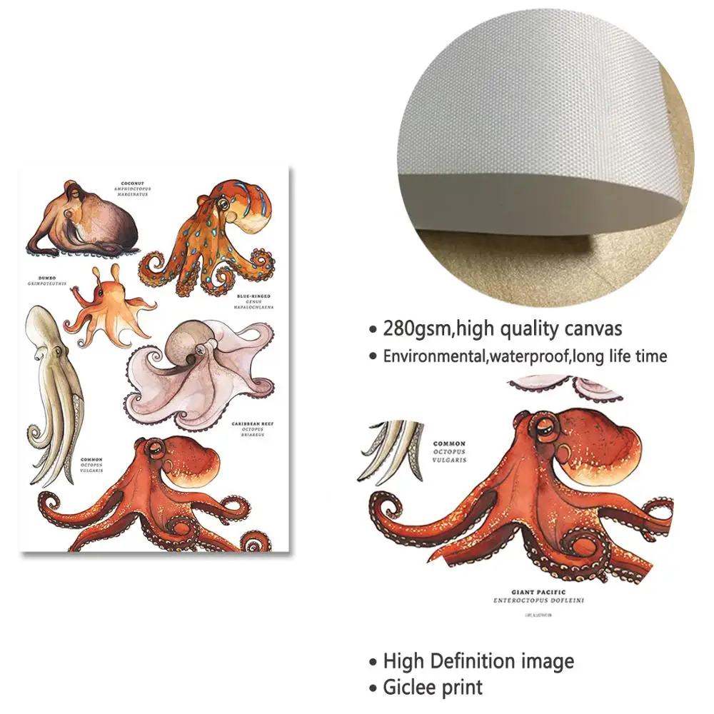 Детский плакат Картина на холсте Осьминог киты акулы морские животные для