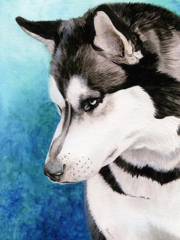 13 5d Животные Собака серия Diy Алмазная картина Huskies Алмазная вышивка Собаки Полный Круглый Diy Алмазная мозаика наклейки на стену рукоделие - Цвет: 13