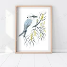 Принт Kookaburra, Wattle, австралийское настенное искусство, австралийское искусство, Kookaburra, подарок для любителей птиц, австралийский подарок для ребенка, иллюстрация