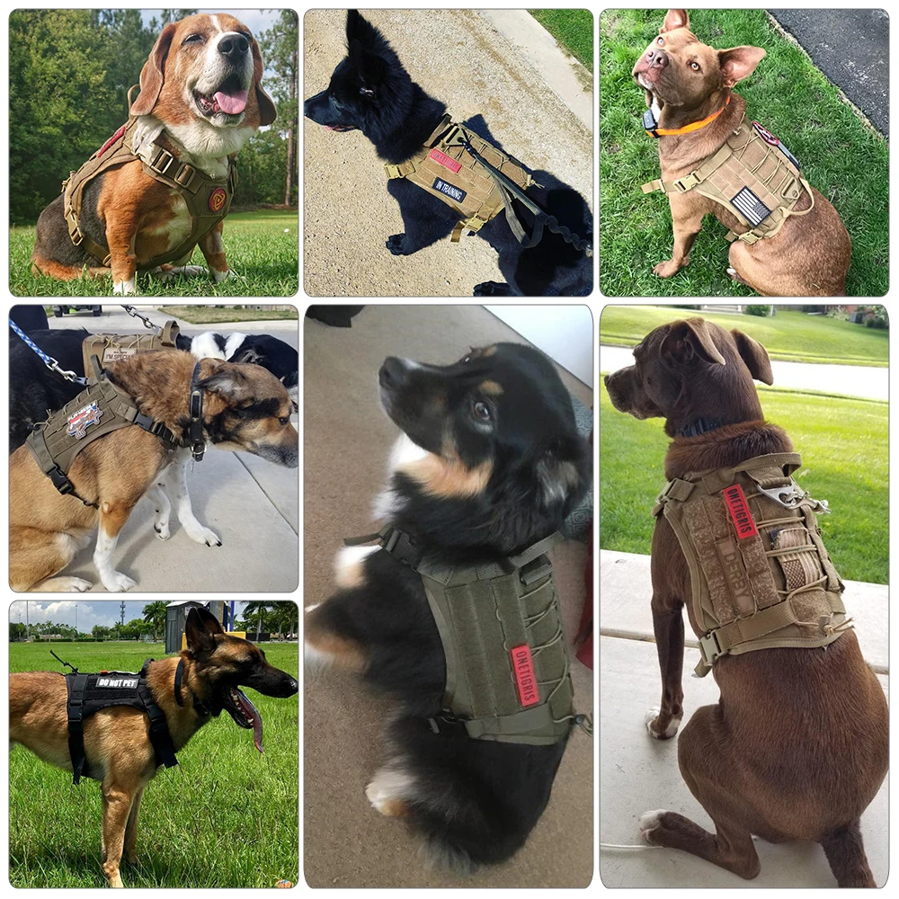 

Military Tactical Dog Harness K9 Working Pet Dog Vest With Handle Nylon Bungee Dog Leash Lead Training For Medium Large Dogs