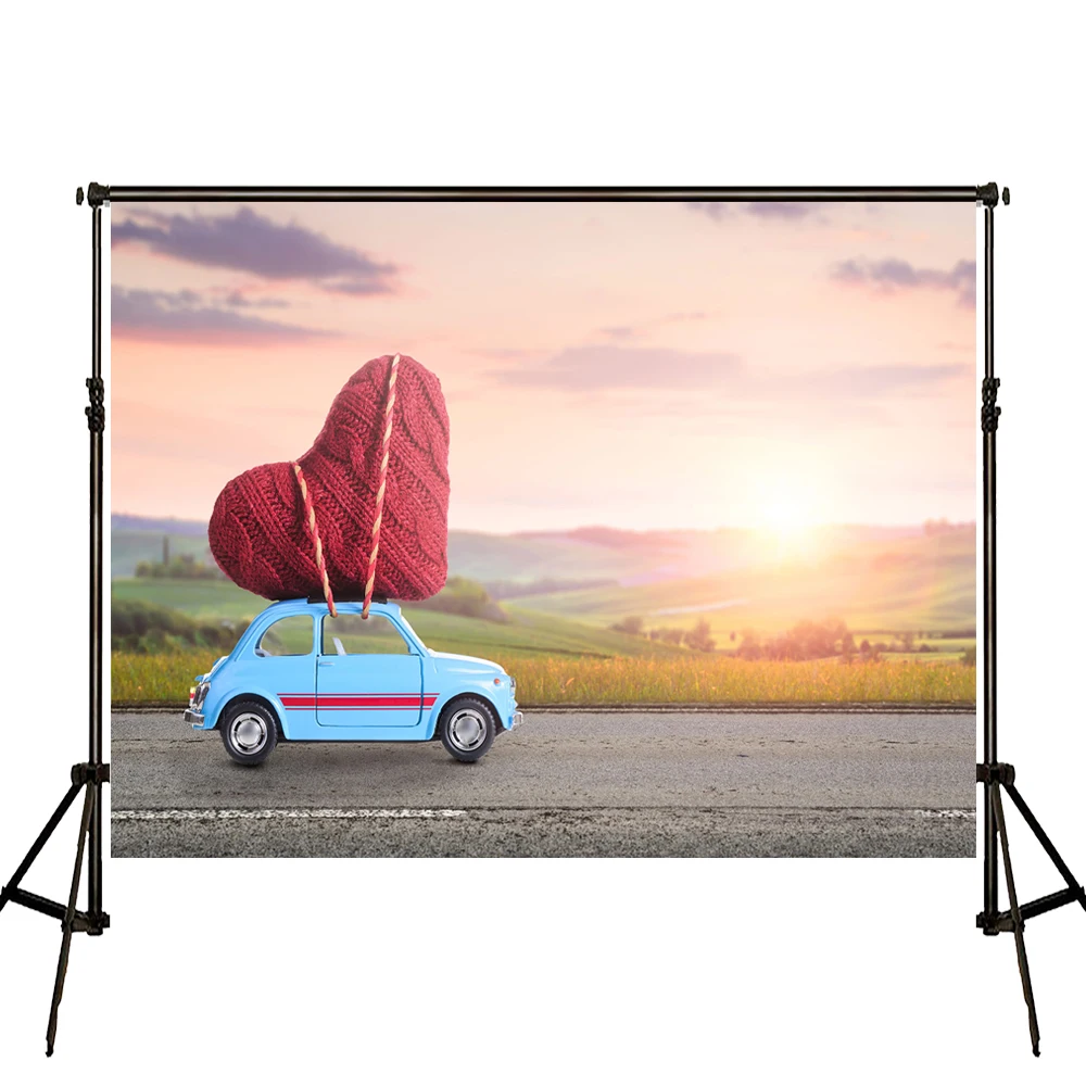 VinylBDS 300x300 см (10x10 футов) День святого Валентина фото фон фотография мультфильм