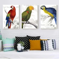 multicolor parrot living room wall art poster bedroom home decorative painting pasted picture customized animal interior decor