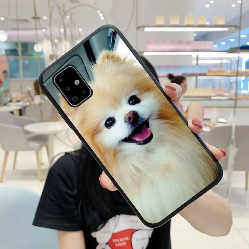 

Pomeranian dogs dog Colorful Cute Phone Case For Samsung S5 S6 S7 S8 S9 S10 S20 S21 Edge Plus E Fe Lite Cover