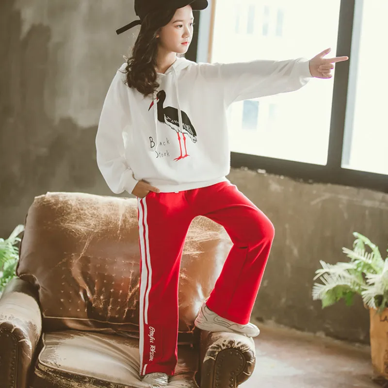 

Girl Clothing set Autumn Kids Sport Suits Children Clothing Sets hoodie +Pants 2Pcs 100%Cotton Girls Clothes Tracksuits CL064