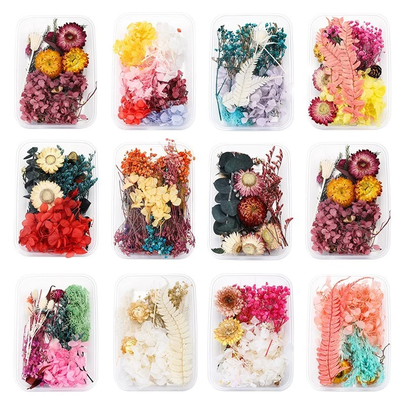 

1Box Mix Beautiful Real Dried Flowers Natural Floral for Art Craft Scrapbooking Resin Jewelry Craft Making Epoxy Mold Dry Flower