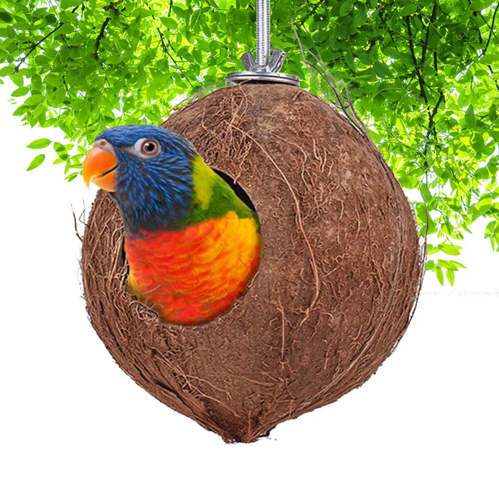 Домашнее украшение птица в клетке попугай прочный натуральный разведение