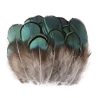 Натуральные перья фазана, павлина для рукоделия, 5-8 см, маленькие Куриные перья, праздничные украшения для вечеринок, плюманы