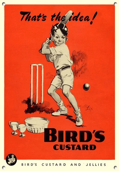

BIRDS CUSTARD Vintage Metal Tin Sign Poster Wall Plaque