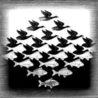 M.C. Плакат Escher с изображением неба и воды, картина маслом, холст для домашнего декора, настенная живопись