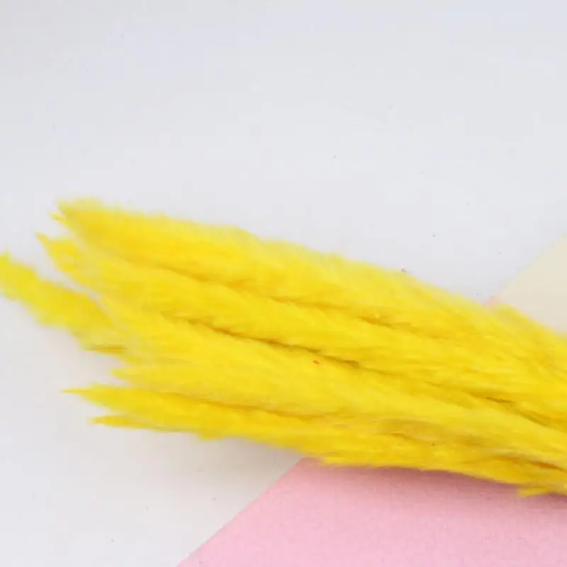 15 шт. прочные сушеные пампасы фрагмиты букет цветов свадебные букеты натуральные