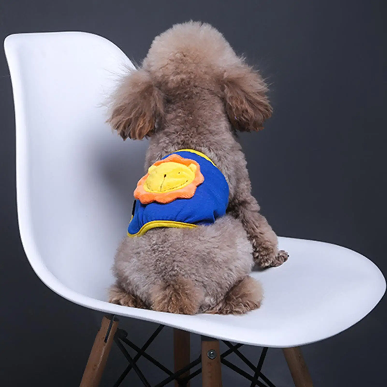 

Dog Physiological Pants Washable Sanitary Diaper Pets Dog Cartoon Reusable Anti-harassment Leak-proof Wrap Diapers Safety Pants