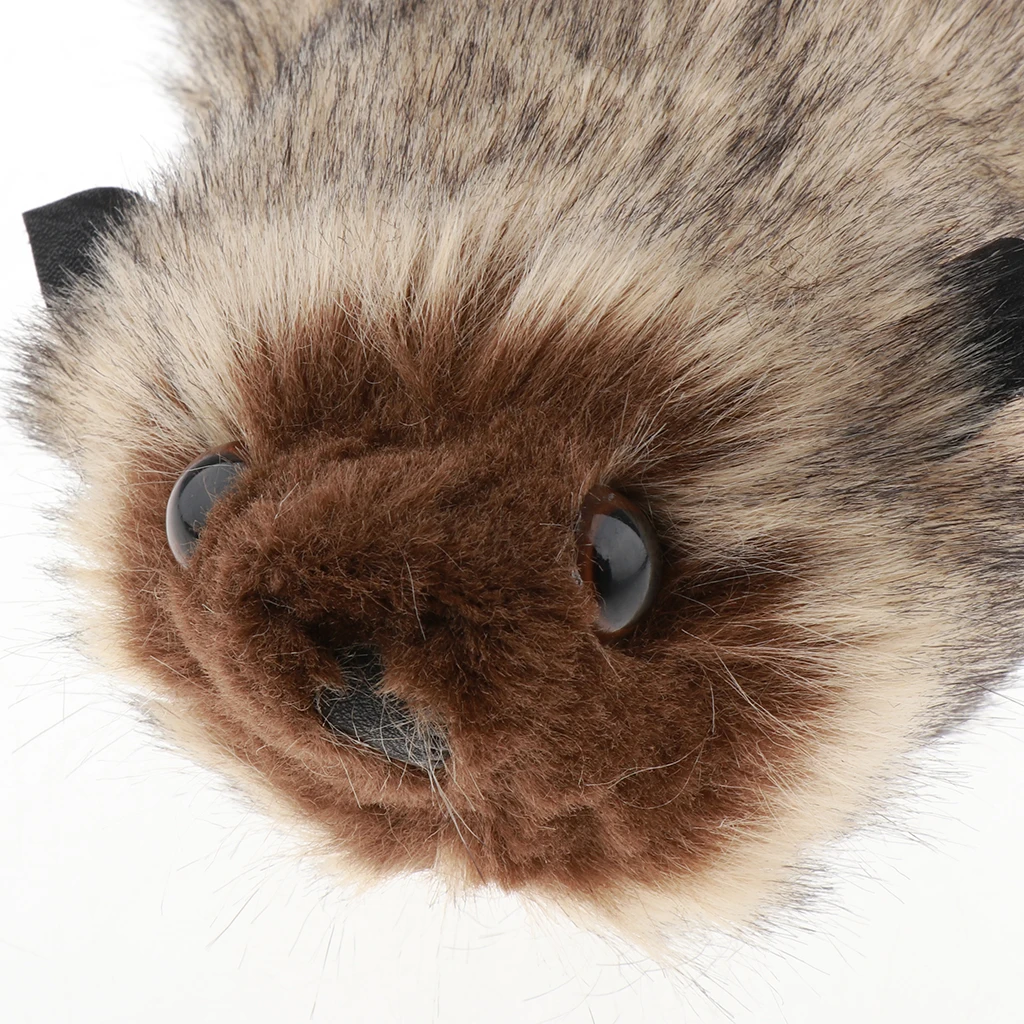 

Lifelike Raccoon Magic Tricks Props Novelty Prop Costume Accessory Fantasy