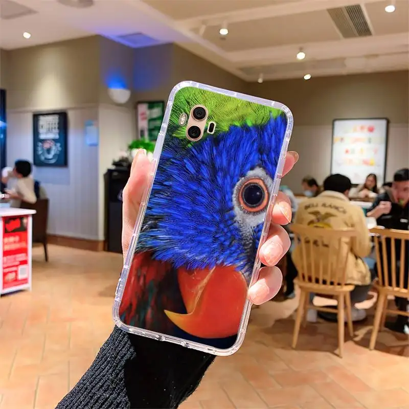 

Animal Parrot Bird Phone Case For Samsung s7 s8 s9 s10 s20 s4 s5 s6 A51 A71 A21 plus lite ultra Cover Fundas Coque