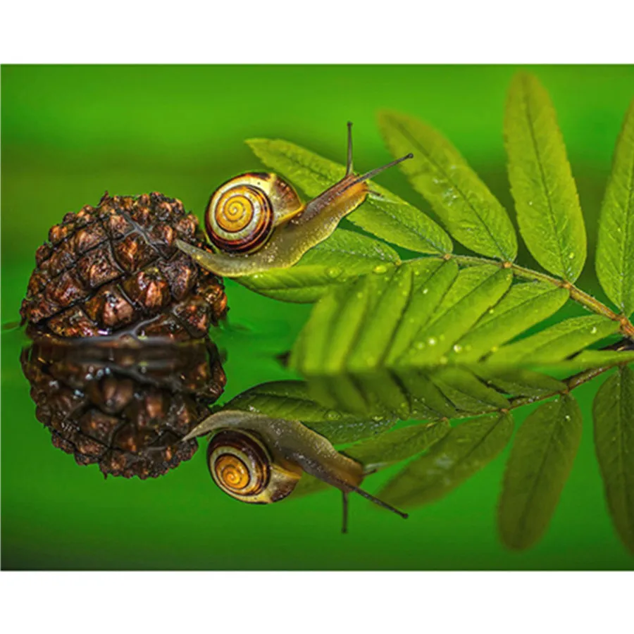 

Алмазная живопись, вышивка улиткой, животное, Алмазная мозаика «сделай сам», искусство, украшение для дома, современные наборы для вышивки к...