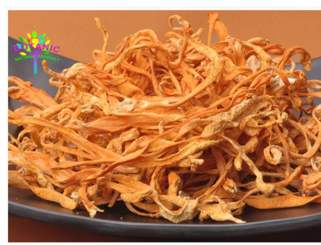 

Chinese organic quality 100% pure Cordyceps sinensis flower