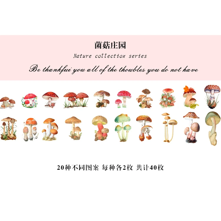 20 компл./лот Kawaii канцелярские наклейки натуральный фото дневник декоративные Мобильный наклейки Скрапбукинг ручные поделки наклейки - Цвет: JunGuZhuangYuan