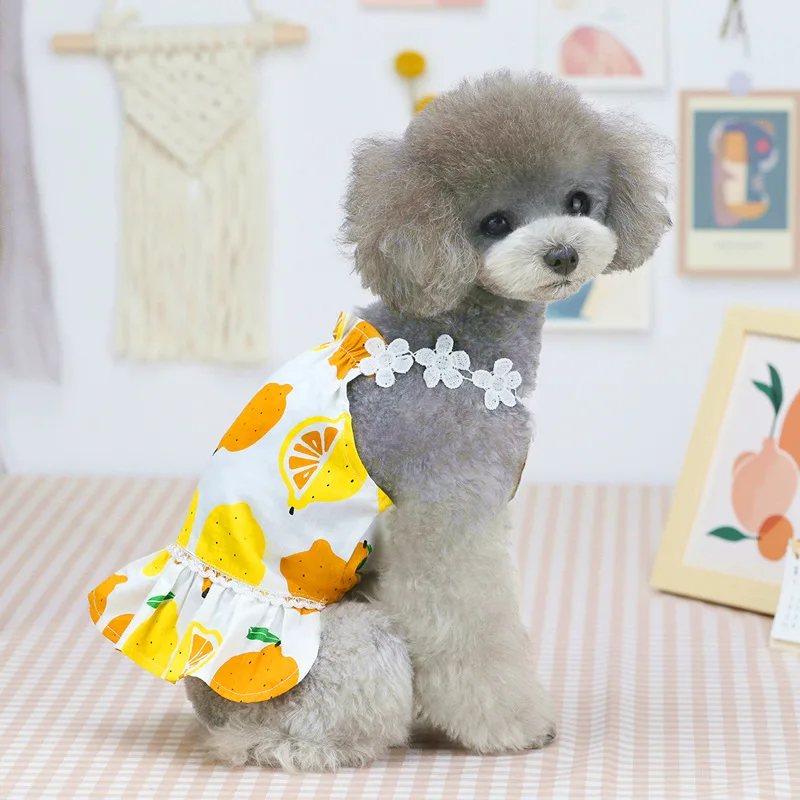 

2021 new dog clothes for small dogs Pet Clothing cats cat dress Summer fancy Puppy beer spring outfit Hanbok Sling lemon cute is