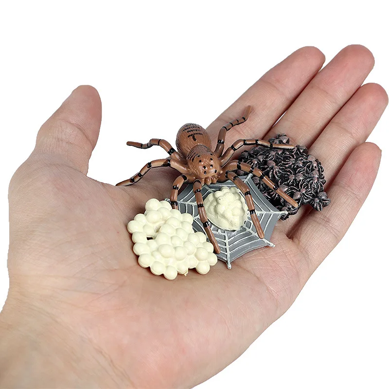 

4pcs/Set Simulation animal growth cycle model bee mini animal growth cycle model set Children Science and Education Plastic Toys