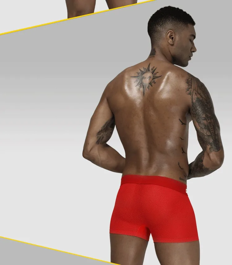 ORLVS нижнее белье, мужские боксеры, мужские сетчатые шорты, дышащее однотонное Мужское нижнее белье, боксеры, сексуальные трусы, мужские шорты OR207