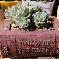 book shaped flower pot succulents container tabletop ornament for home office vintage book design flower cactus herbs sedum